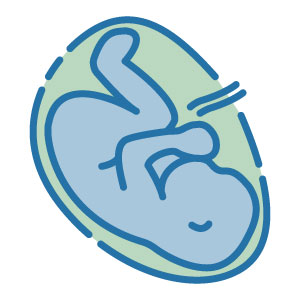 Fetal Conditions - High Risk Pregnancy Center of KC